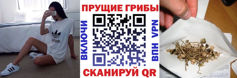 Псилоцибиновые грибы Psilocybe  Отрадное 