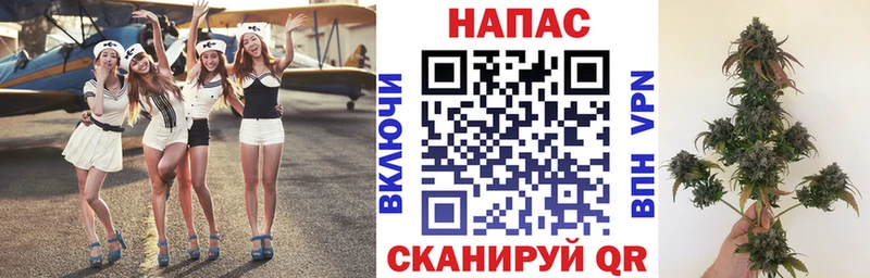 Бошки Шишки конопля как найти наркотики Отрадное